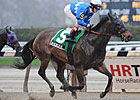 Nicole H Much the Best in Distaff Handicap Nicole H Much the Best in Distaff Handicap