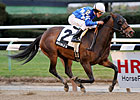 Sprint Stakes, Optimism at Suffolk Downs Sprint Stakes, Optimism at Suffolk Downs