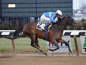 Nicole H Wins Interborough for Third Time Nicole H Wins Interborough for Third Time