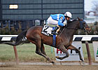 Nicole H Wins Interborough for Third Time