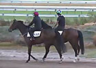 Caulfield Guineas Day: Nigel Blackiston Caulfield Guineas Day: Nigel Blackiston