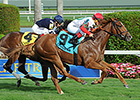 Gulfstream Rivals Clash in Palm Beach Gulfstream Rivals Clash in Palm Beach