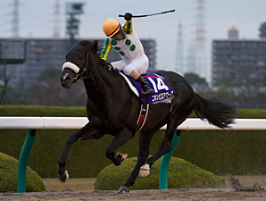 Nihonpiro Ours Easy Winner of Japan Cup Dirt Nihonpiro Ours Easy Winner of Japan Cup Dirt