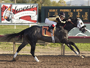 Ten Get Tested in El Camino Real Derby Ten Get Tested in El Camino Real Derby