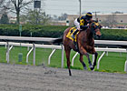 Ward Back for More in Ky. Juvenile Ward Back for More in Ky. Juvenile