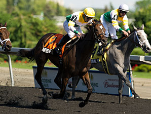 Connections Hope Bison City Goes to 'Script' Connections Hope Bison City Goes to 'Script'