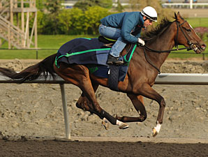 Sophomore Fillies Clash in Woodbine's Selene Sophomore Fillies Clash in Woodbine's Selene