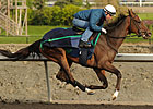 Sophomore Fillies Clash in Woodbine's Selene Sophomore Fillies Clash in Woodbine's Selene