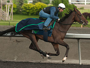 Woodbine Oaks, Plate Trial Take Spotlight Woodbine Oaks, Plate Trial Take Spotlight