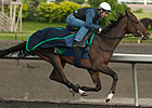 Woodbine Oaks, Plate Trial Take Spotlight