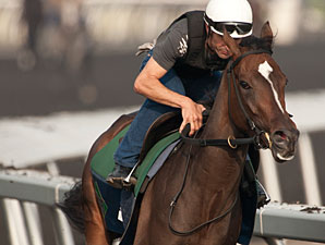 Nipissing Posts Final Work for Queen's Plate Nipissing Posts Final Work for Queen's Plate