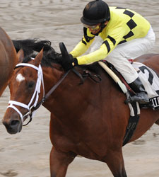 BC Spot On the Line in Fall Championship S.