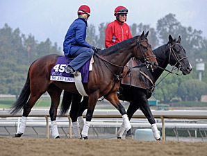 Turf Entrants Get Work Over Santa Anita Lawn Turf Entrants Get Work Over Santa Anita Lawn