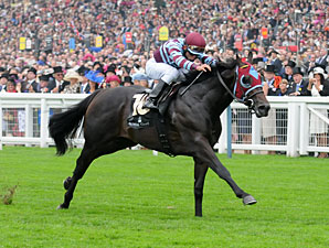 Pedigree Analysis: Scat Daddy's Triple Play Pedigree Analysis: Scat Daddy's Triple Play