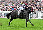 Pedigree Analysis: Scat Daddy's Triple Play Pedigree Analysis: Scat Daddy's Triple Play