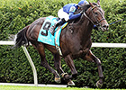 No Nay Never Returns With Woodford Win No Nay Never Returns With Woodford Win