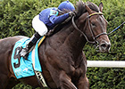 Ward Sends BC Contenders in Keeneland Works Ward Sends BC Contenders in Keeneland Works