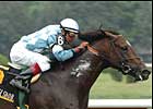 Nobiz Like Shobiz tops Kent Field at Delaware Park Nobiz Like Shobiz tops Kent Field at Delaware Park