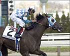 Nobiz Like Shobiz Likely Choice in Dwyer