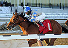 Noble Moon, Protonico Top Discovery Handicap Noble Moon, Protonico Top Discovery Handicap