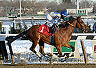 Noble Moon Shines Brightest in Frigid Jerome Noble Moon Shines Brightest in Frigid Jerome