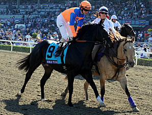 Noble Tune Tries Plan 'B' in American Turf Noble Tune Tries Plan 'B' in American Turf