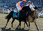 Noble Tune Tries Plan 'B' in American Turf