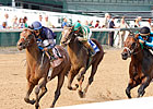 Noble's Promise Ready for Smile Noble's Promise Ready for Smile