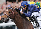 Noble's Promise Heading to Churchill Downs Noble's Promise Heading to Churchill Downs