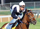 TC Talk: Derby 136 Picks