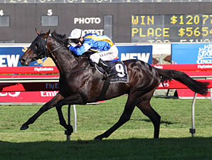 New Zealand-Breds Score in Aussie Derby New Zealand-Breds Score in Aussie Derby
