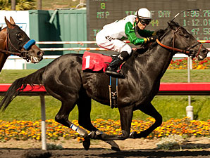 Nonios Battles Liaison Again in Swaps Stakes Nonios Battles Liaison Again in Swaps Stakes