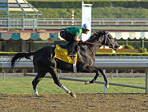 Nonios Zips Over Santa Anita Track Nonios Zips Over Santa Anita Track
