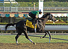 Nonios Zips Over Santa Anita Track