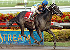 Noonmark Retired, to Stand in New York Noonmark Retired, to Stand in New York