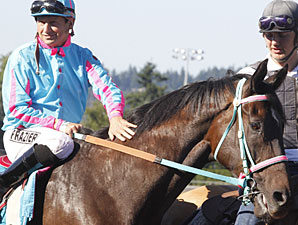 Frazier, Noosa Beach Retire at Emerald Downs Frazier, Noosa Beach Retire at Emerald Downs