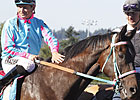 Frazier, Noosa Beach Retire at Emerald Downs Frazier, Noosa Beach Retire at Emerald Downs
