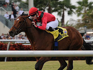 Nordic Truce, Quiet Harbor Take Gulf Stakes
