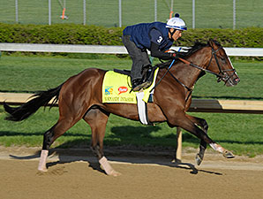 Brown, Lukas Work Derby Charges at Churchill Brown, Lukas Work Derby Charges at Churchill