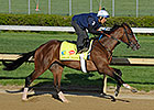 Brown, Lukas Work Derby Charges at Churchill Brown, Lukas Work Derby Charges at Churchill