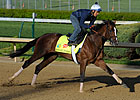 Porter Has High Hopes For Derby Invasion