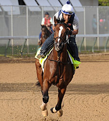 Normandy Invasion Runs Off in Morning Gallop Normandy Invasion Runs Off in Morning Gallop