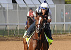 Normandy Invasion Runs Off in Morning Gallop Normandy Invasion Runs Off in Morning Gallop