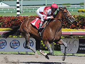 Brown Mulls Options for Normandy Invasion Brown Mulls Options for Normandy Invasion