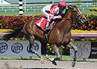 Brown Mulls Options for Normandy Invasion Brown Mulls Options for Normandy Invasion