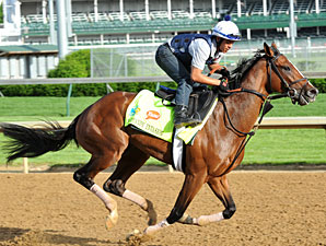 Normandy Invasion Will Skip Preakness Normandy Invasion Will Skip Preakness
