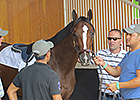 Haskin: Normandy Invasion Revisited Haskin: Normandy Invasion Revisited