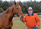 Northeast/MidAtlantic: Bucking the Trend