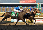 Hastings Posts Gains in Handle, Purses Hastings Posts Gains in Handle, Purses