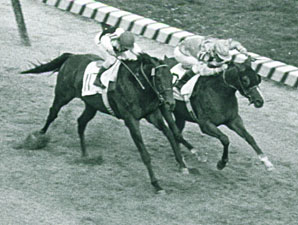 Northern Dancer on display at Woodbine Northern Dancer on display at Woodbine